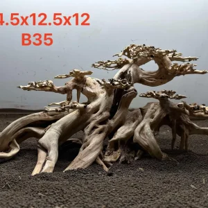 Bonsai Driftwood B35