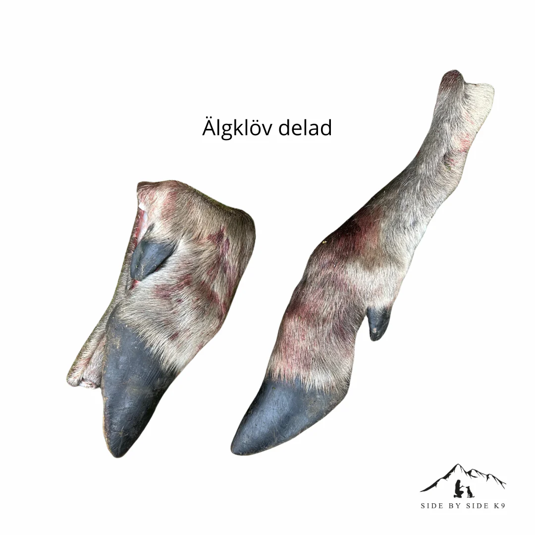 Älgskank - Bild 2