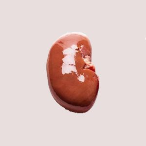 Raw Beef Kidney Chunks 1kg