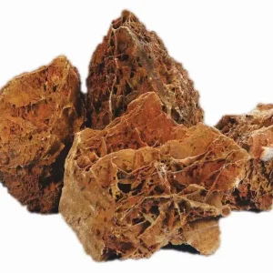 Maple Leaf Stone