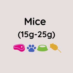 Kiezebrink Mice 15-25g x25