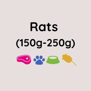 Kiezebrink Regular Rats x5 (150-250g)