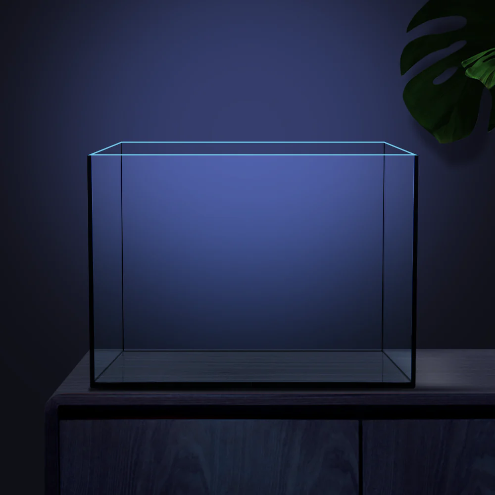 Ultra Clear Rimless Glass Aquarium - Black Glue Fish Tank
