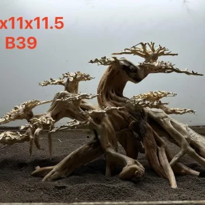 Bonsai Driftwood B39