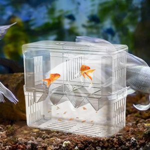 YEE  Breeding Hatching Box Fish