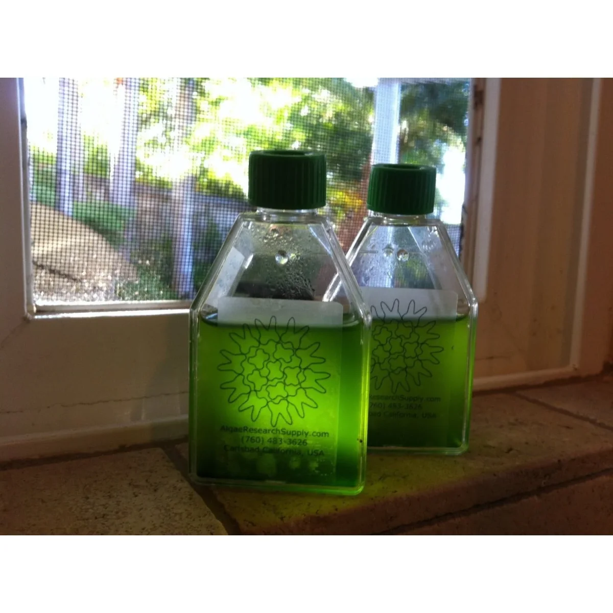 Algae Research Supply: Algae Culture Kit for Dunaliella salina - Bild 3