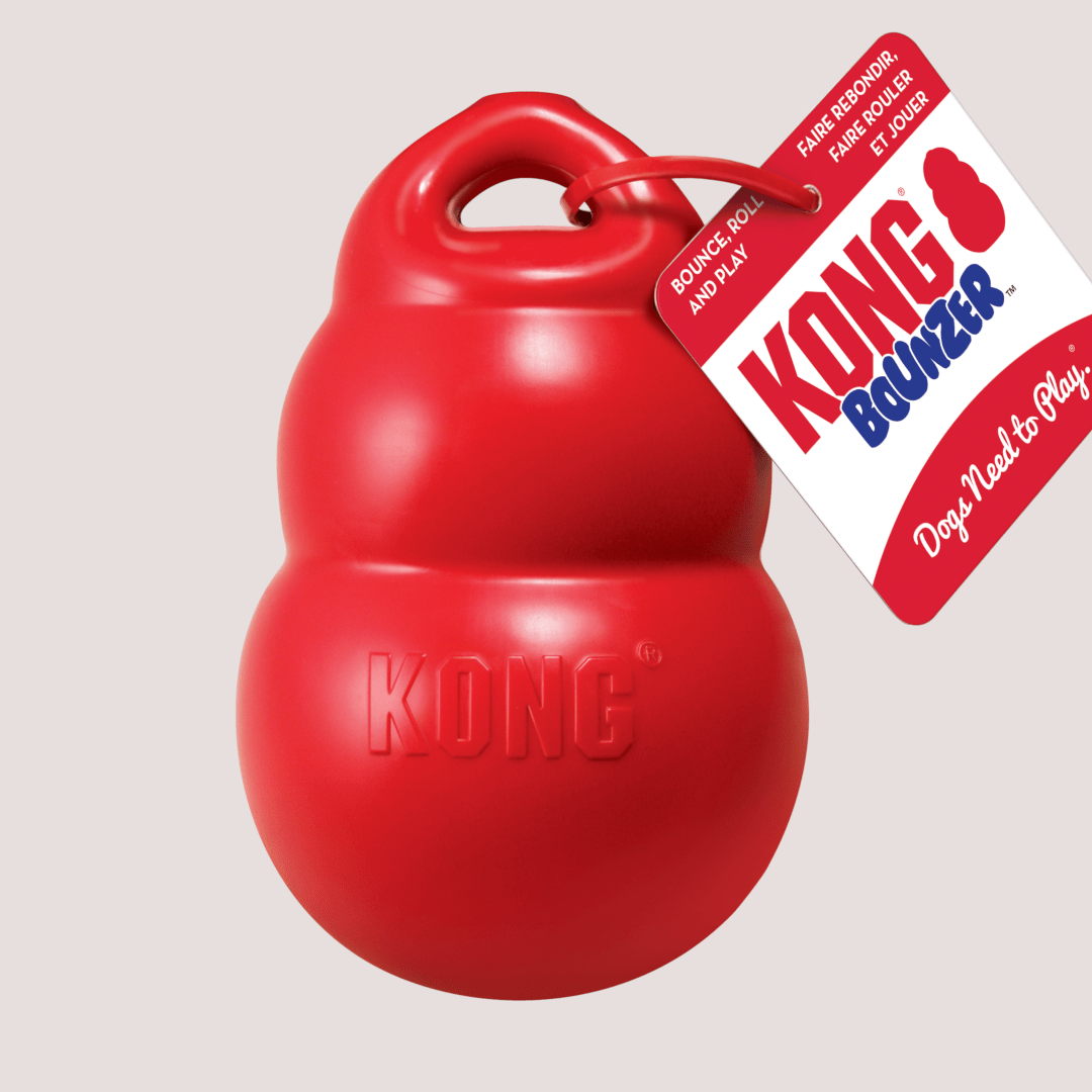 KONG Bounzer Dog Toy - Bild 2