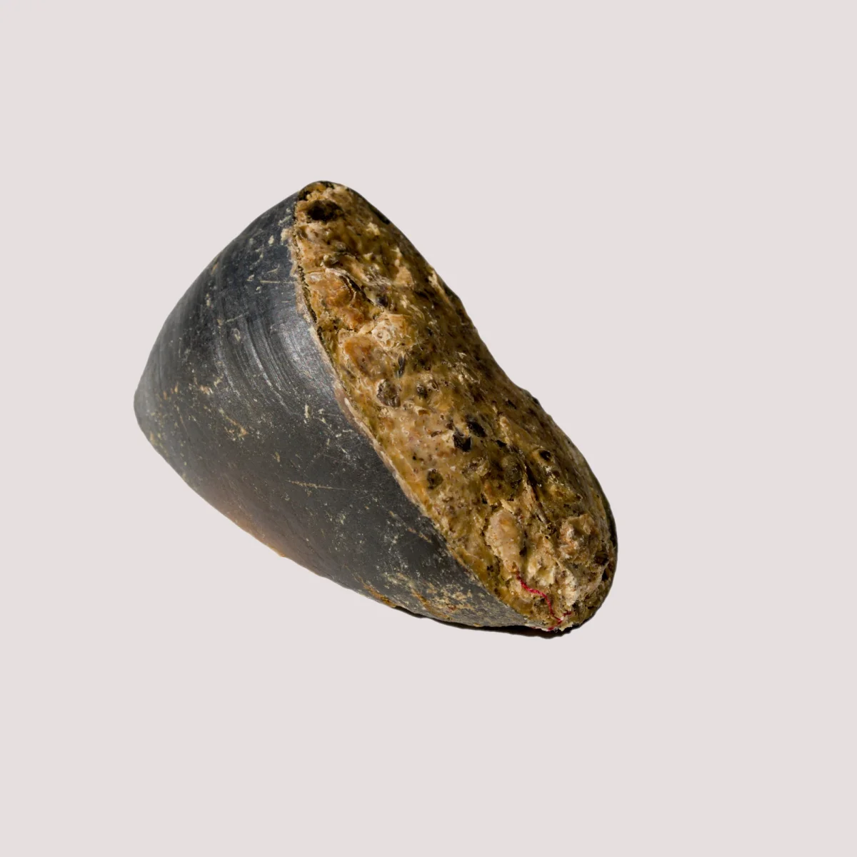Water Buffalo Hoof With Liver & Tripe - Bild 2