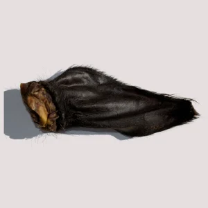 Buffalo Furry Ears