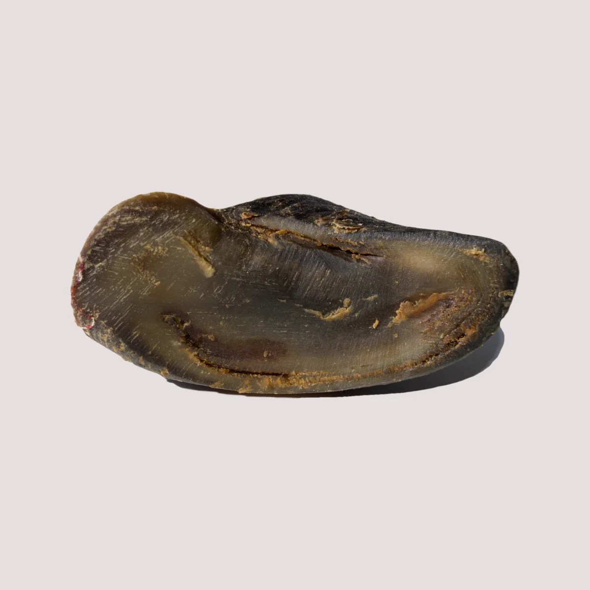 Water Buffalo Hoof With Liver & Tripe - Bild 9