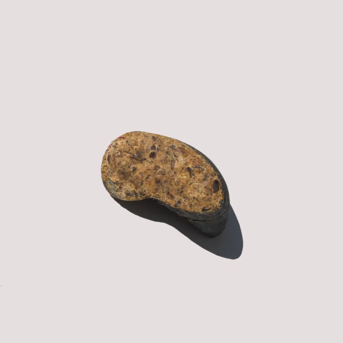 Water Buffalo Hoof With Liver & Tripe - Bild 7