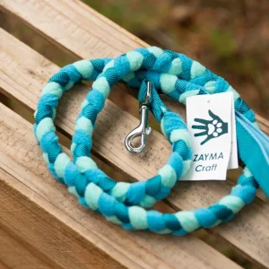 Braided leash