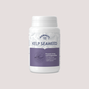 Dorwest Kelp Seaweed for Dogs & Cats 100 | 500 Tablets