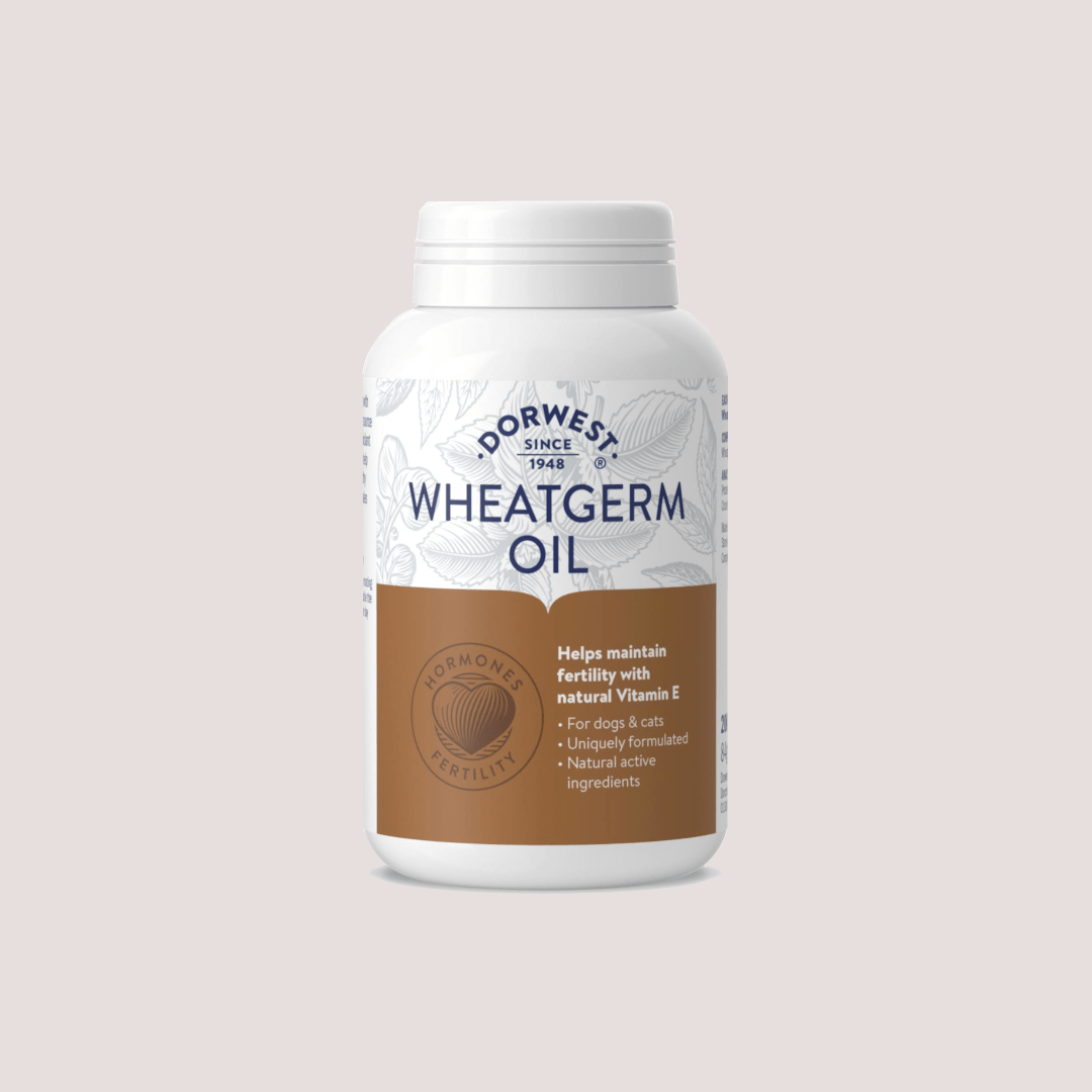 Dorwest Wheatgerm For Dog & Cats Oil 100 | 200 Capsules