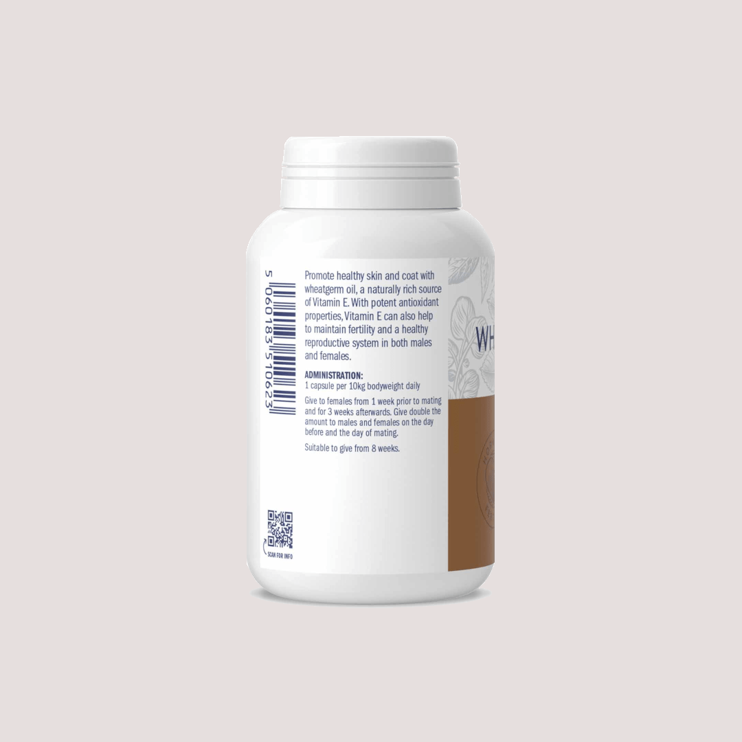 Dorwest Wheatgerm For Dog & Cats Oil 100 | 200 Capsules - Bild 3