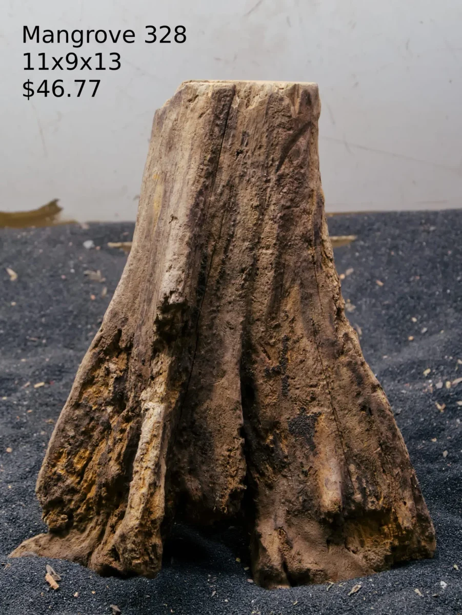 Mangrove Tree Stump 328 - Bild 2