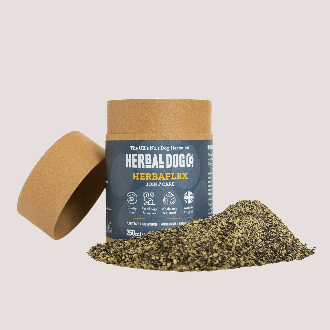 Herbal Dog HerbaCare Flex For Dog 250ml - Bild 2