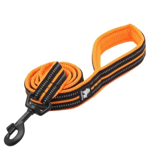 Hundkoppel 2m, Orange
