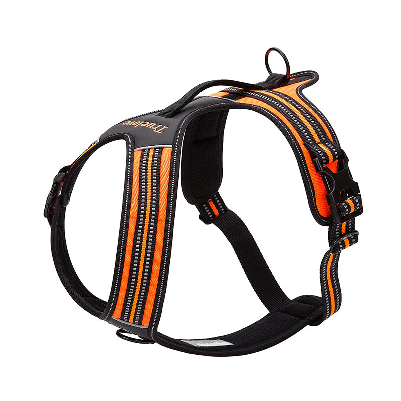Ergonomisk y-sele med justerbart koppel och halsband - Bild 3