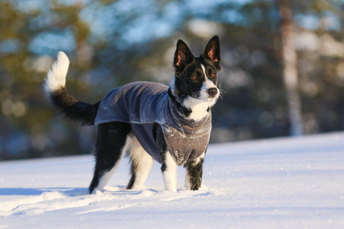 Pomppa Jumppa Fleece Coat - Bild 4