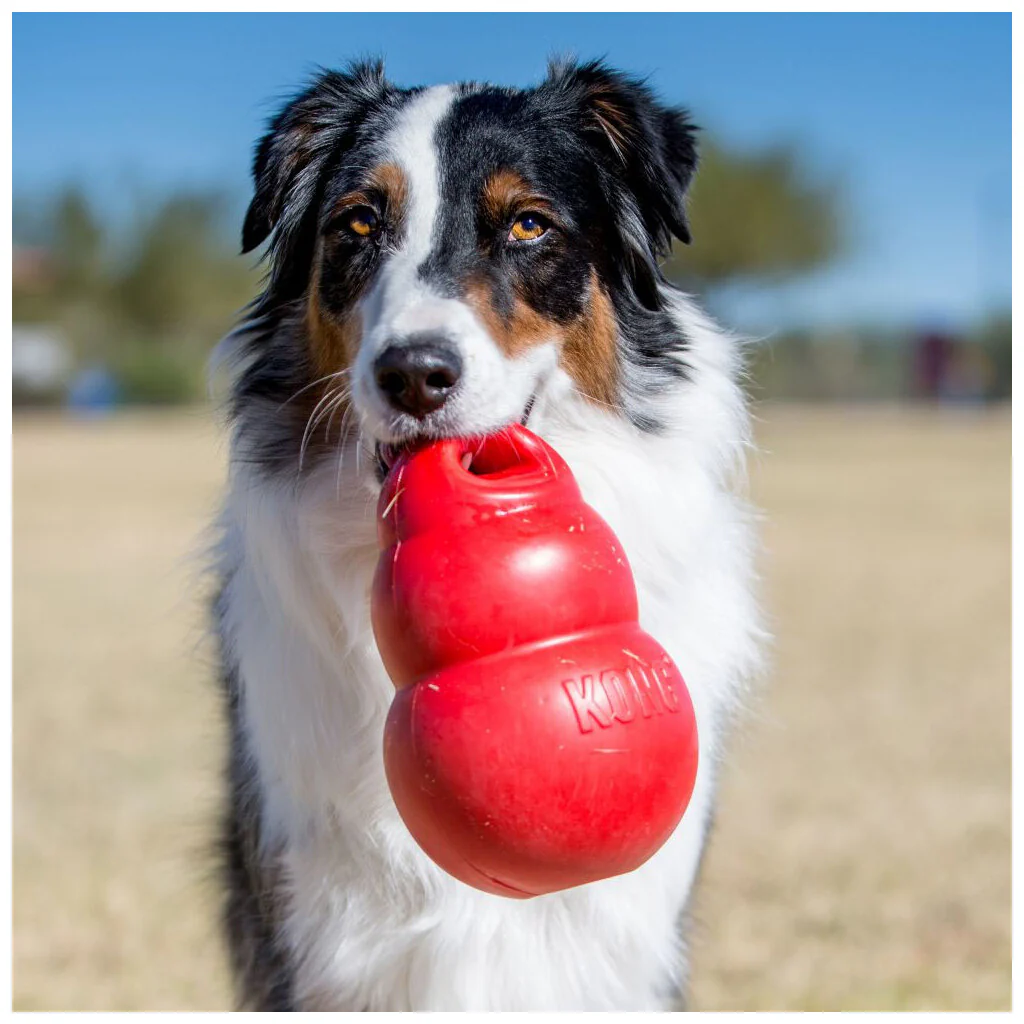Kastleksak för hund KONG Bounzer