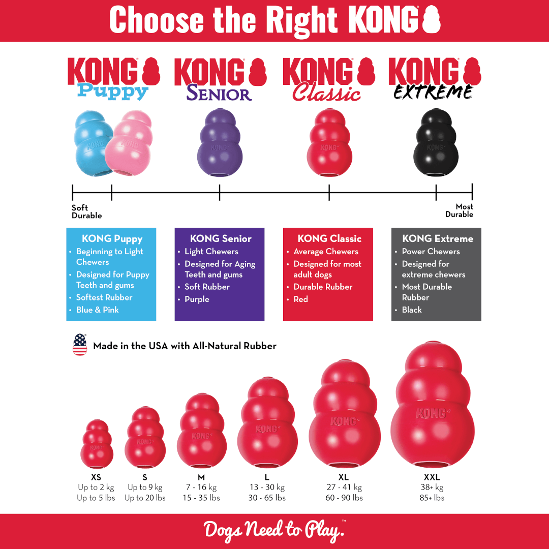 KONG Puppy Dog Toy - Bild 4