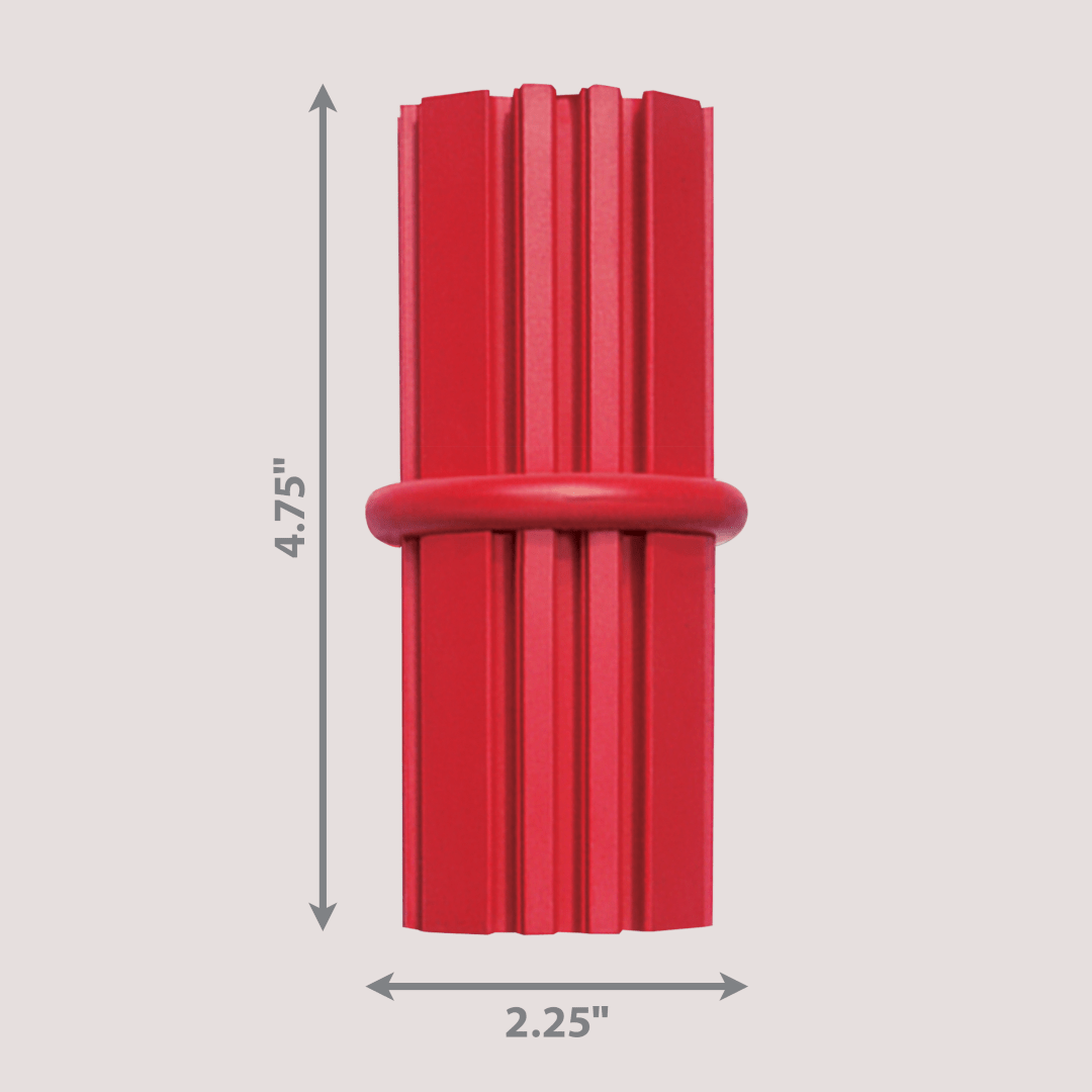 KONG Dental Stick Dog Chew Toy - Bild 5