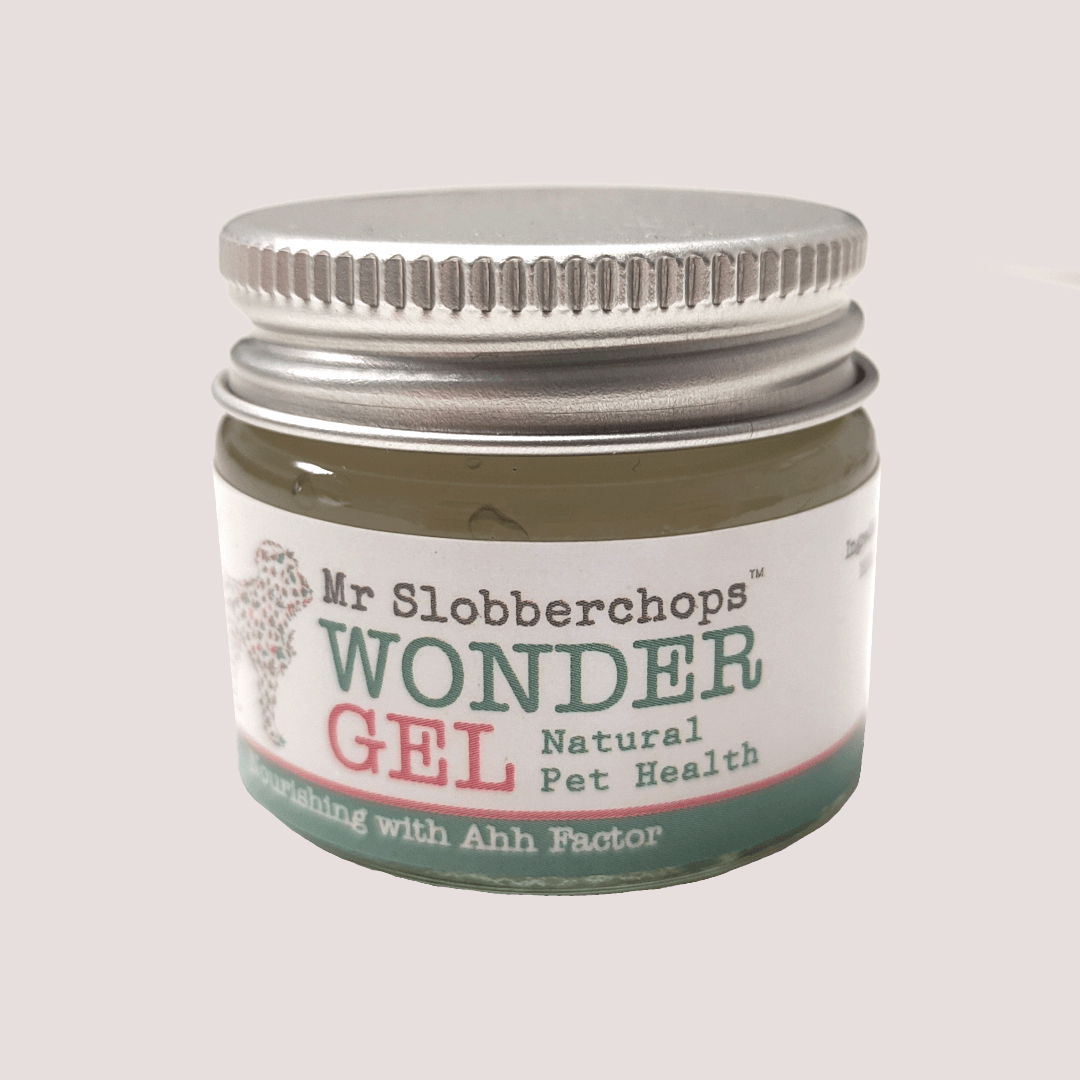 Mr. Slobberchops Wonder Gel 20g