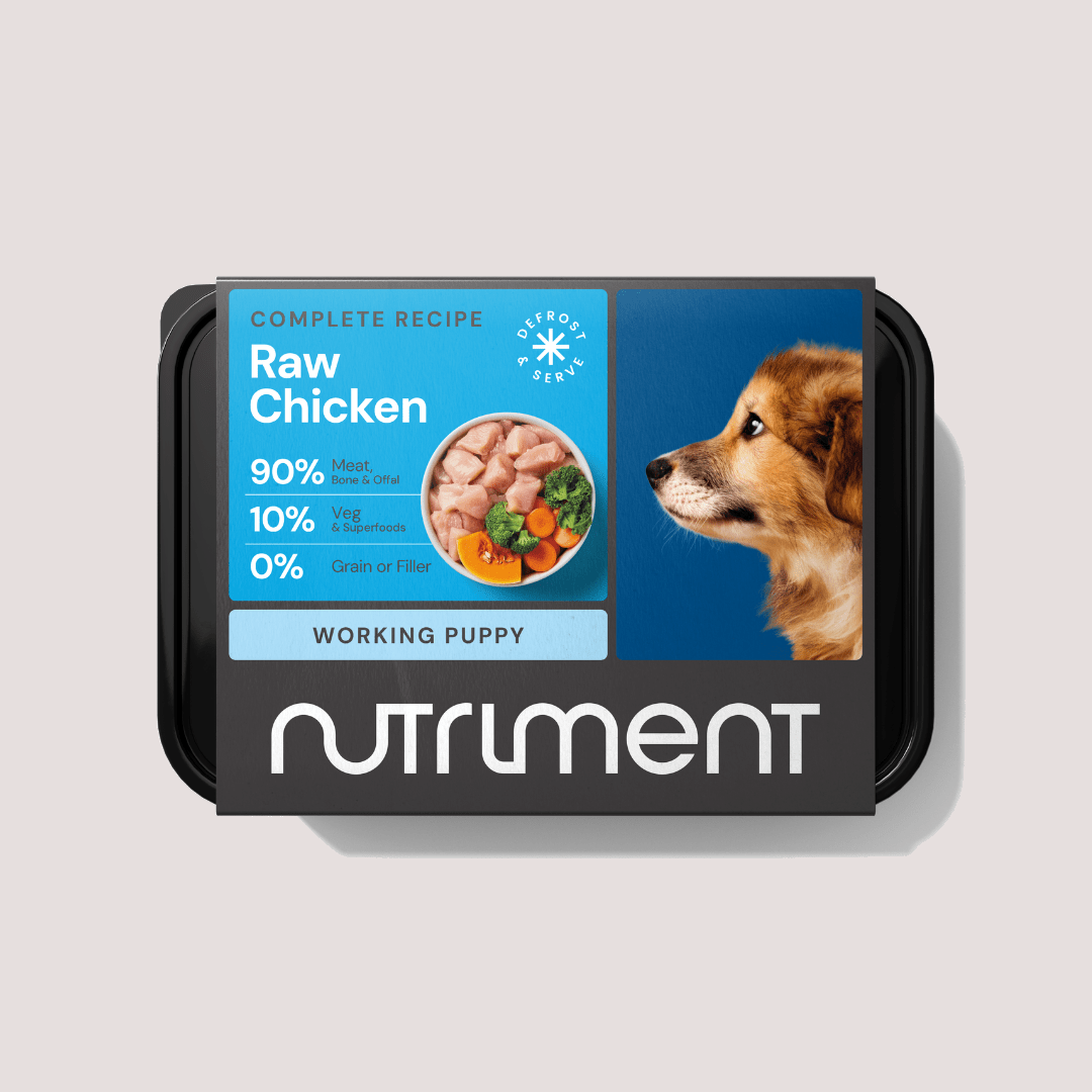 Nutriment Raw Chicken Puppy Formula - Bild 4