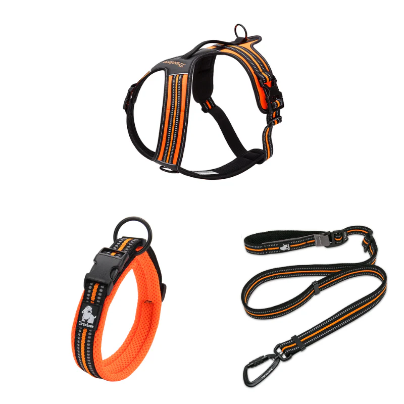 Ergonomisk y-sele med justerbart koppel och halsband - Bild 2