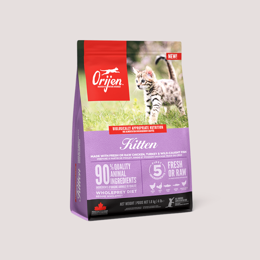 Orijen Kitten Dry Food