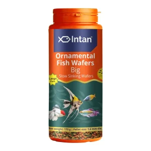 GROWEL INTAN ORNAMENTAL FISH WAFERS 70g