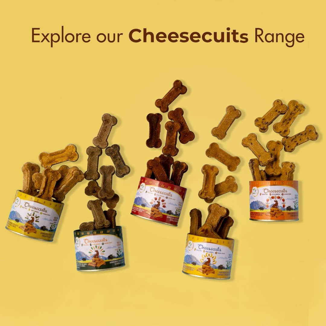 Pawfect Cheesecuits Cheese Dog Biscuits With Pineapple & Coconut 100g - Bild 7