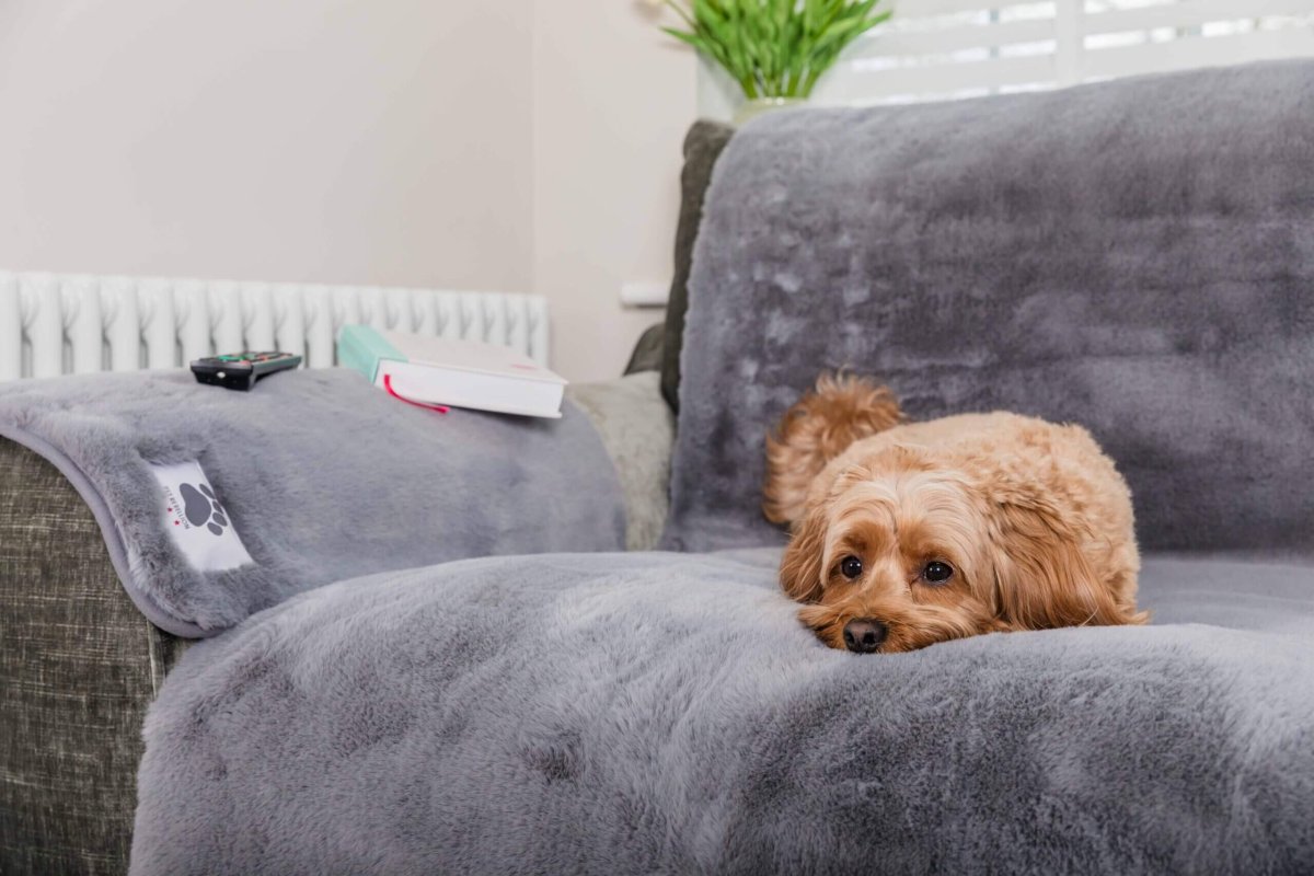 Pet Rebellion Comfy Cover - Bild 7