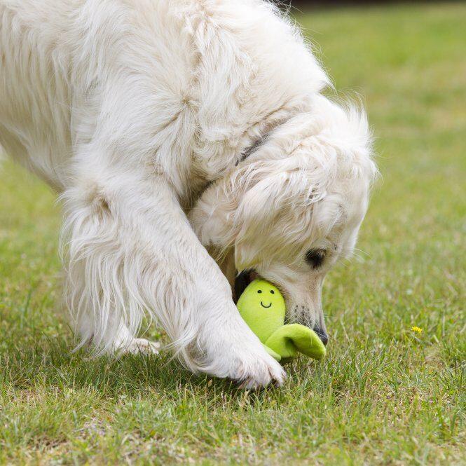 PetFace Fluffy Sprout - Bild 4