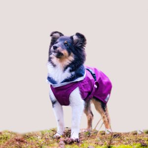 Pomppa Kevyt Waterproof Dog Coat With Harness Opening