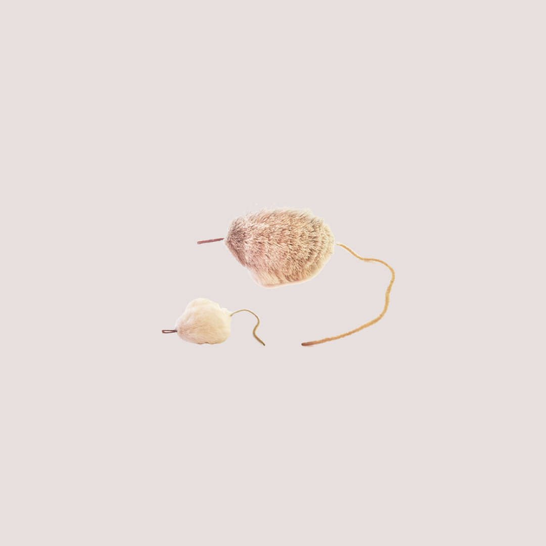 Purrs In Our Hearts Skitter Mouse - Bild 2