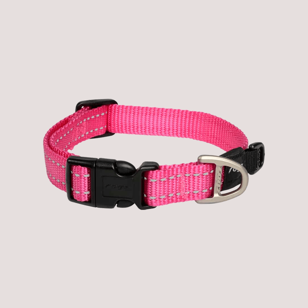Rogz Classic Utility Dog Collar