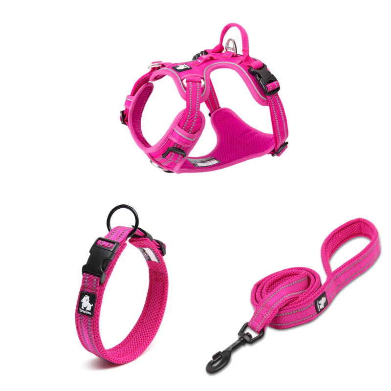 Ergonomiskt Promenadset för Hund – Sele, Halsband & Koppel med Reflex och Antidrag - Bild 2
