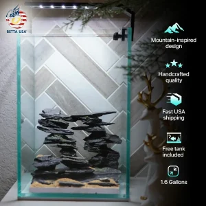 [SCAPE-68]  Mountain-Inspired Aquarium Aquascape – 1.6 Gallons
