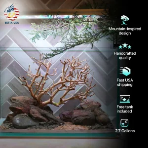 [SCAPE-90] Bonsai On Rock Nature Aquarium Aquascape – 2.7 Gallons