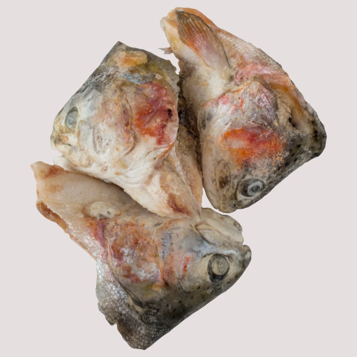 Raw Trout Heads 1kg - Bild 3