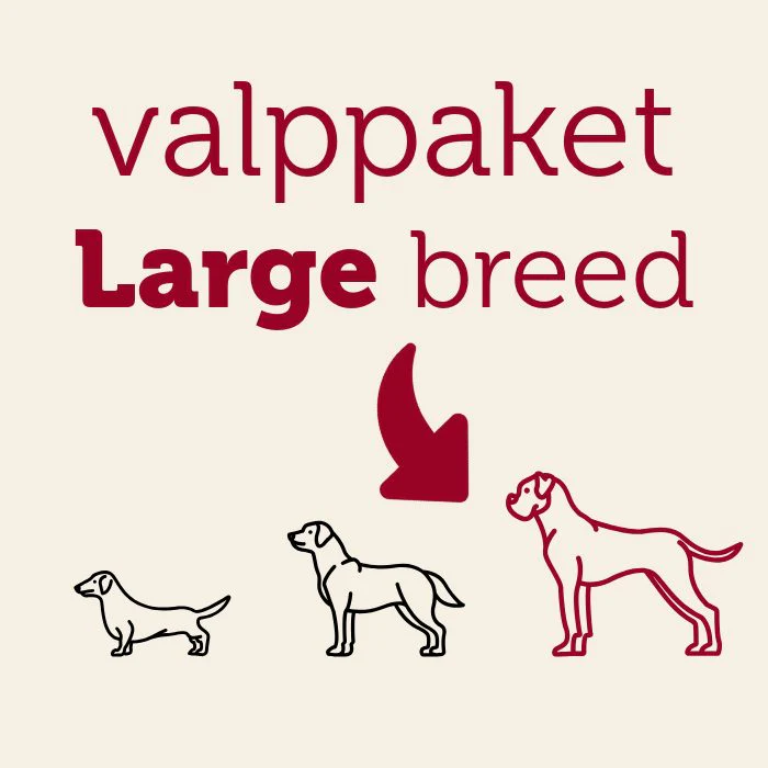 mera Valppaket Large breed - Bild 2