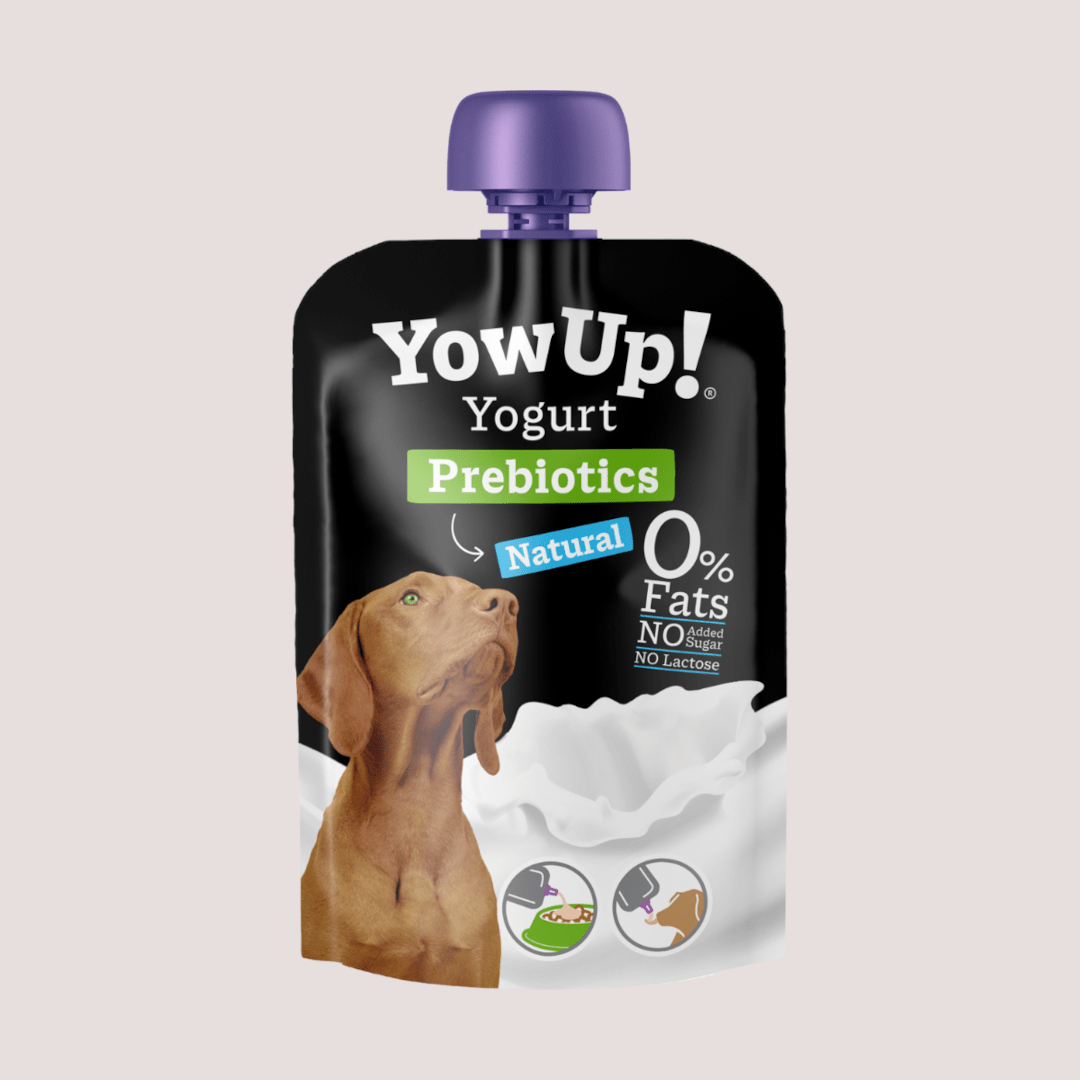 YowUp Prebiotics Yoghurt 115g