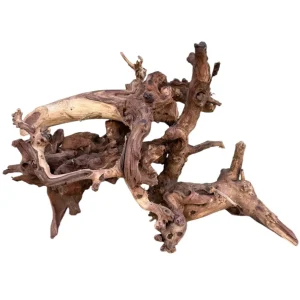 Amazon Wood