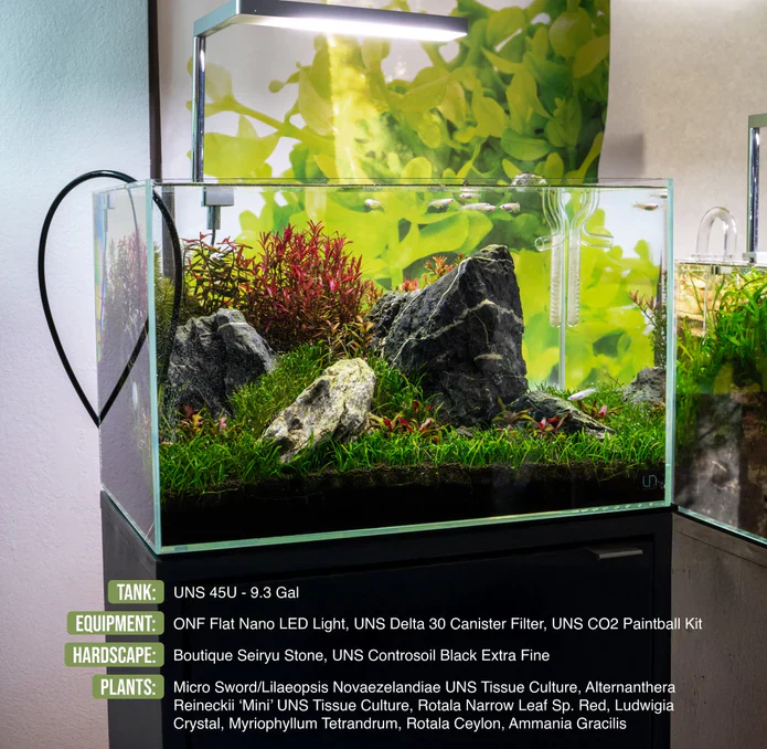 UNS 45U - 9.3 Gallon Ultra Clear Rimless Aquarium - Bild 4