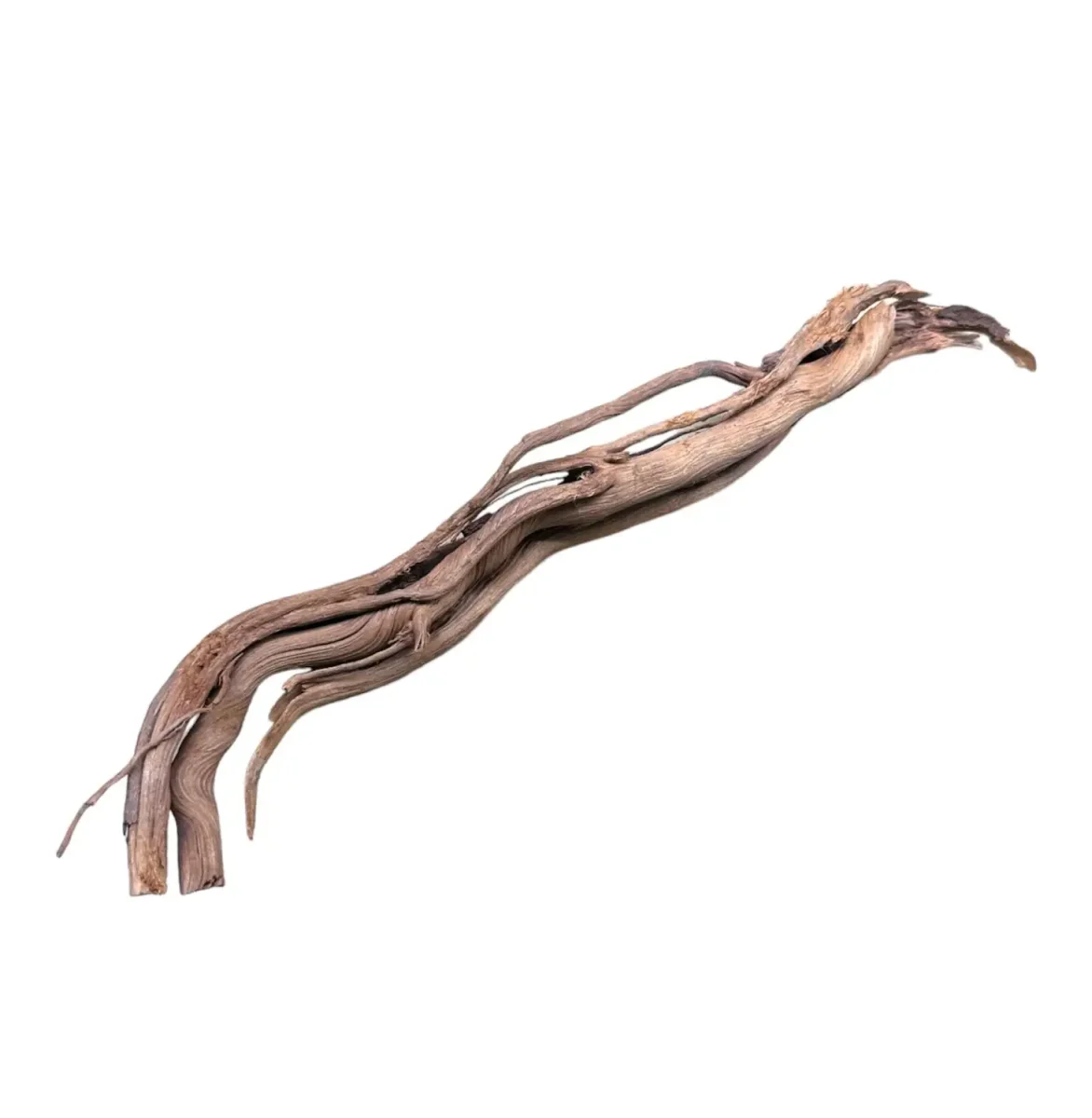 Dragon Wood - Bild 5