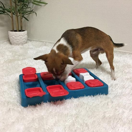 Outward Hound Nina Ottosson Brick Level 2 Dog Puzzle - Bild 4
