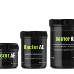 Bacter AE