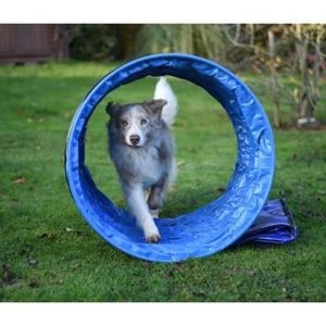 Animo Hoopers tunnel 80cm
